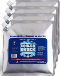 Cooler Shock Reusable Ice Pack image